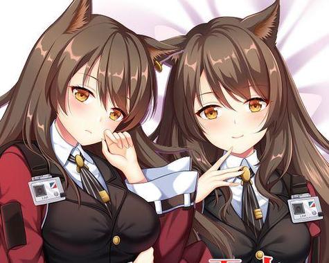 明日方舟天火技能玩法与队伍搭配攻略_明日方舟天火战斗技巧与进阶指南