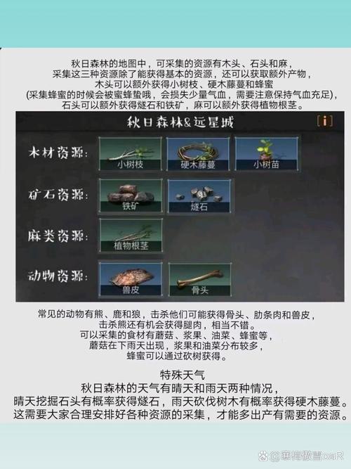 明日之后新手入门到高手进阶全攻略_明日之后生存技巧与资源采集指南