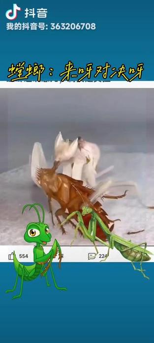 昆虫大战最全游戏攻略解说_昆虫大战最新游戏技巧通关