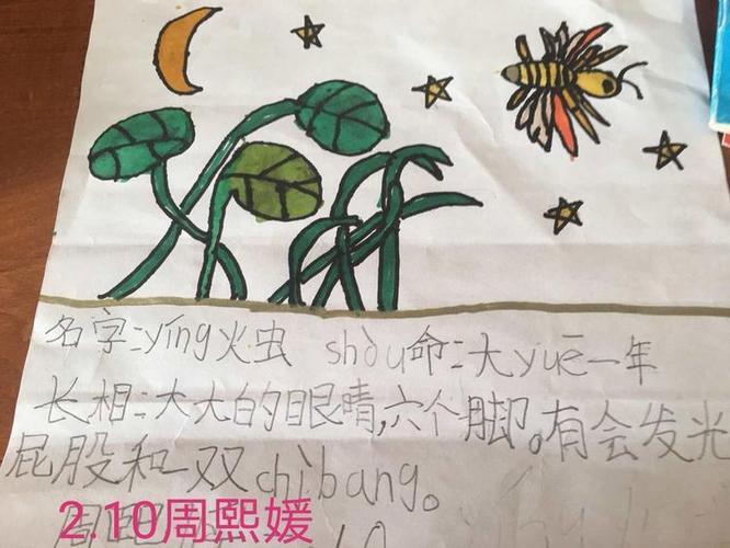 昆虫大世界最全游戏攻略解说_昆虫大世界最新游戏技巧通关