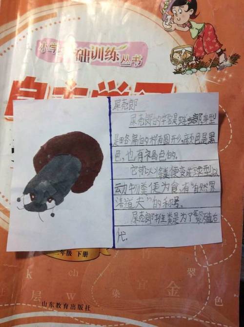 昆虫大世界最全游戏攻略解说_昆虫大世界最新游戏技巧通关