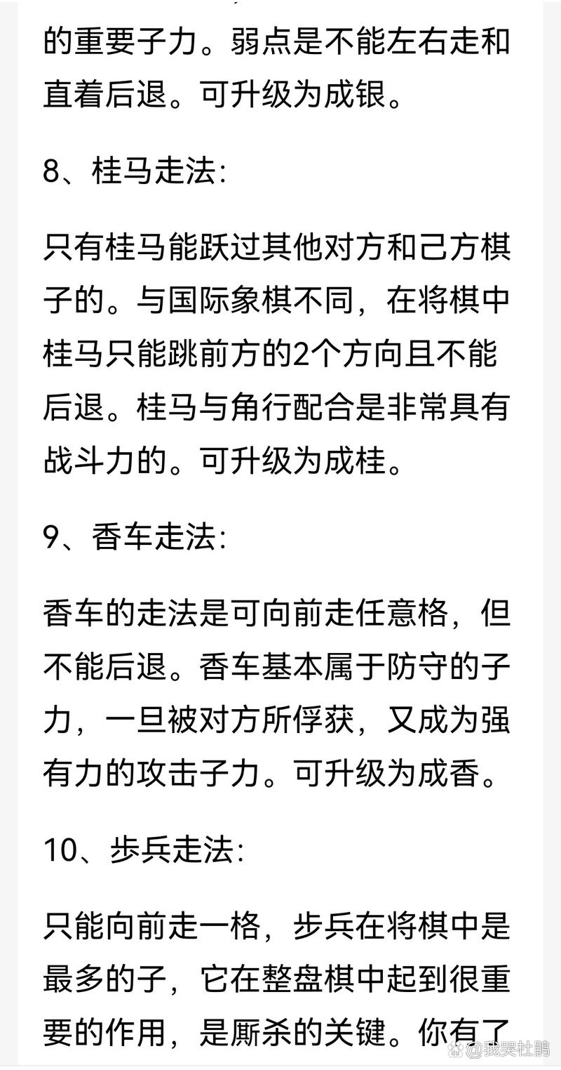 方棋游戏攻略全解析_方棋最新玩法技巧通关