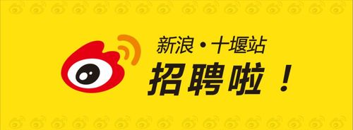 新浪招聘游戏攻略全解析_新浪招聘通关秘籍技巧