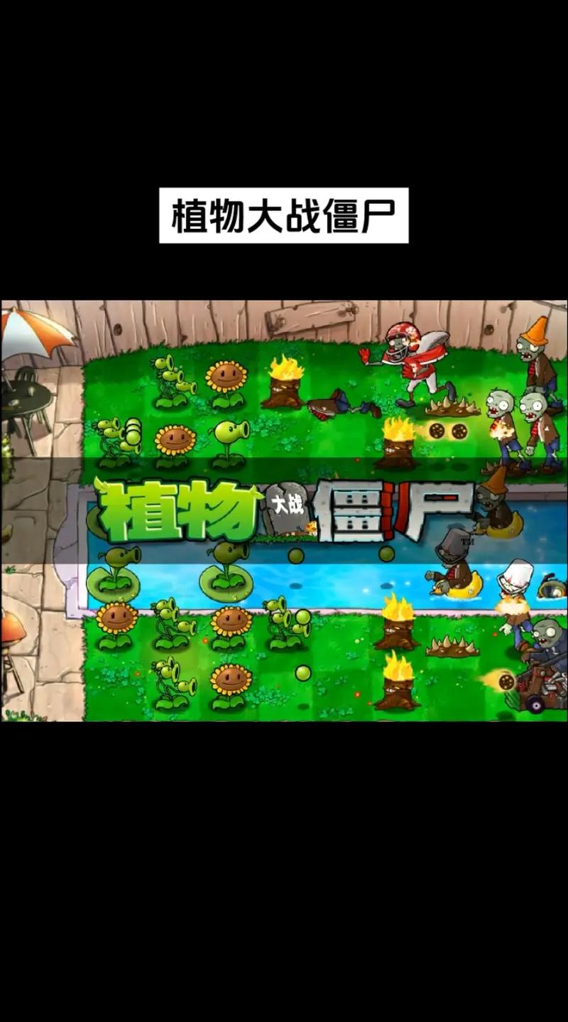 新植物大战僵尸最全游戏攻略解说_新植物大战僵尸最新游戏技巧通关