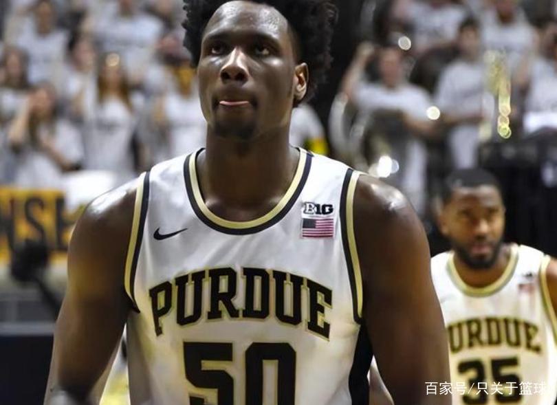 斯瓦尼根最全游戏攻略解说_斯瓦尼根最新游戏技巧通关