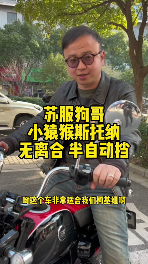 斯托纳最全游戏攻略解说_斯托纳最新游戏技巧通关