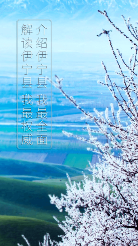 杏乡好地方手机版下载