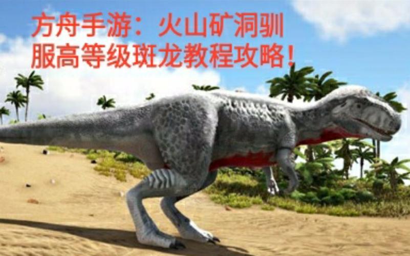 斑龙最全游戏攻略解说_斑龙最新游戏技巧通关