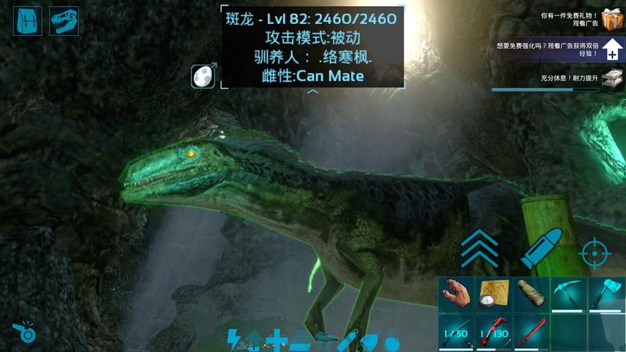 斑龙最全游戏攻略解说_斑龙最新游戏技巧通关