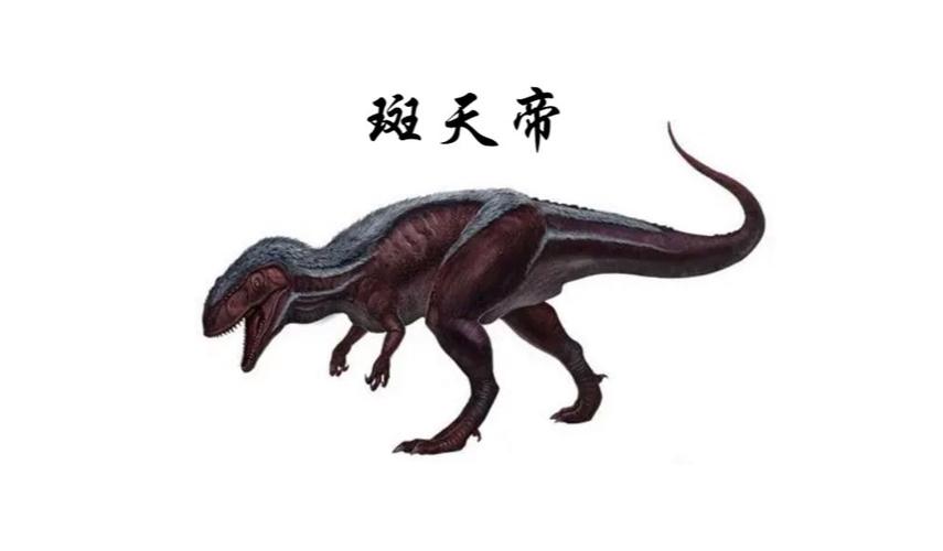 斑龙最全游戏攻略解说_斑龙最新游戏技巧通关