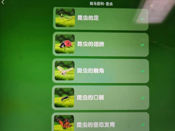 斑斑马最全游戏攻略解说_斑斑马最新游戏技巧通关