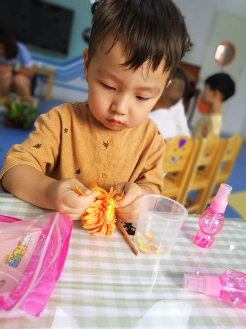 摘花瓣最全游戏攻略解说_摘花瓣最新游戏技巧通关