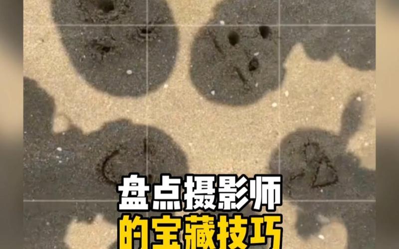 摄影师图片最全游戏攻略解说_摄影师图片最新游戏技巧通关