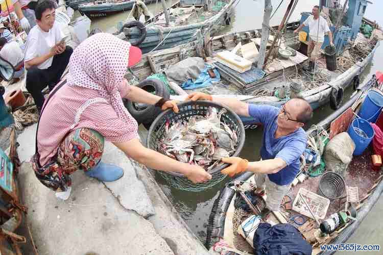 捕鱼儿海最全游戏攻略解说_捕鱼儿海最新游戏技巧通关