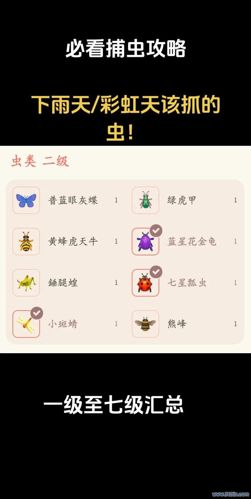 捕虫网最全游戏攻略解说_捕虫网最新游戏技巧通关