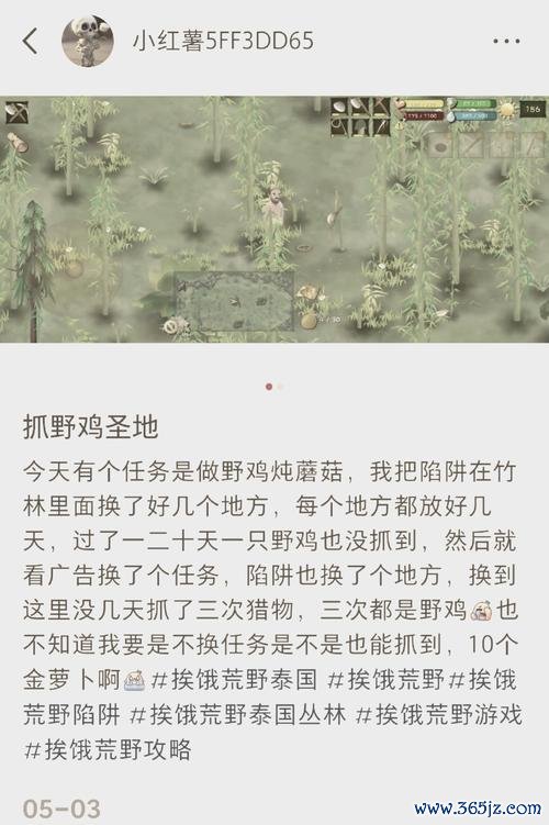 挨饿荒野最全生存攻略解说_挨饿荒野最新资源获取技巧通关