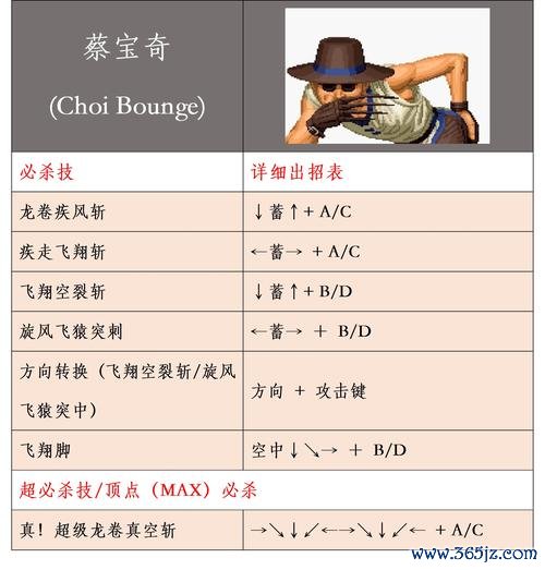 拳王游戏最全攻略解说_拳王游戏最新技巧通关