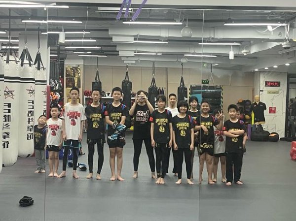 拳击小子最全游戏攻略解说_拳击小子最新游戏技巧通关