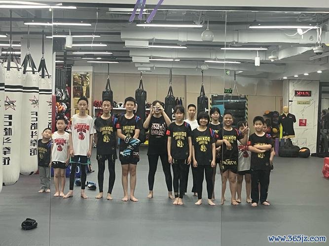 拳击小子最全游戏攻略解说_拳击小子最新游戏技巧通关