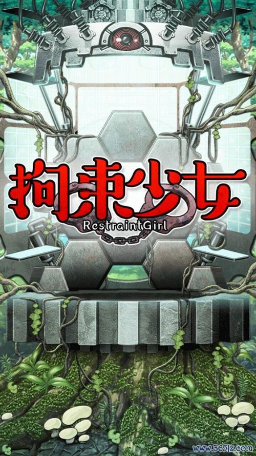 拘束巫女最全游戏攻略解说_拘束巫女最新游戏技巧通关