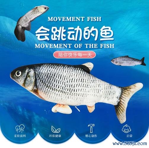 拍拍鱼最全游戏攻略解说_拍拍鱼最新游戏技巧通关