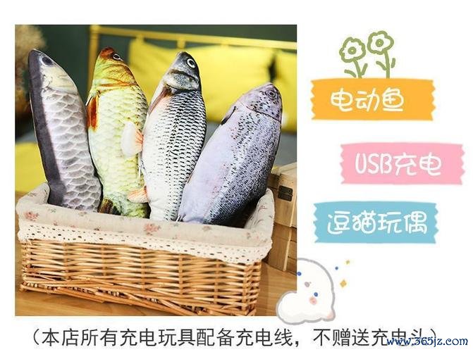 拍拍鱼最全游戏攻略解说_拍拍鱼最新游戏技巧通关