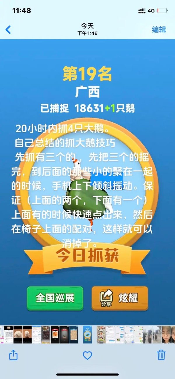 抓动物游戏最全游戏攻略解说_抓动物游戏最新游戏技巧通关