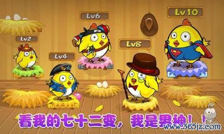 找鸡游戏最全攻略解说_找鸡游戏最新技巧通关
