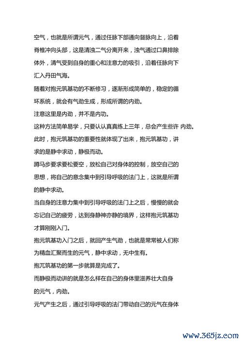 抱元守一最全游戏攻略解说_抱元守一最新游戏技巧通关