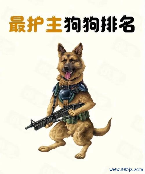护主犬最全游戏攻略解说_护主犬最新游戏技巧通关