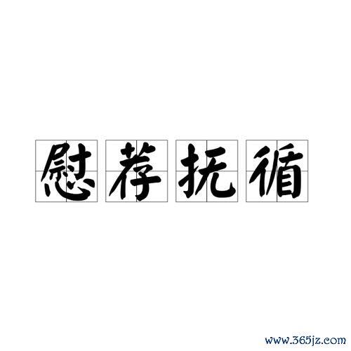 抚循游戏最全攻略解说_抚循游戏最新技巧通关