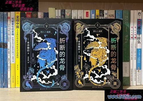 折断的龙骨全流程攻略详解_折断的龙骨隐藏要素与高分技巧