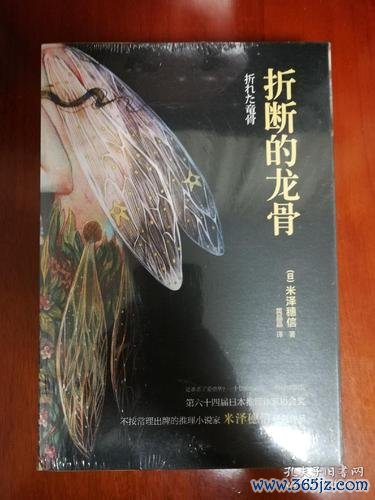 折断的龙骨全流程攻略详解_折断的龙骨隐藏要素与高分技巧