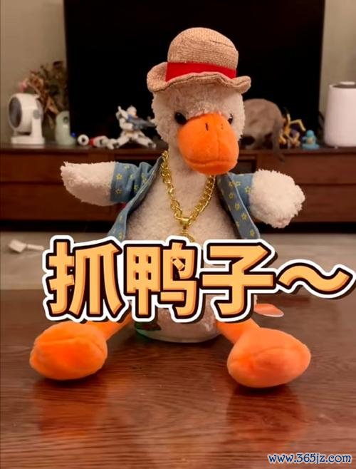 抓鸭子游戏怎么玩_抓鸭子游戏趣味玩法全解析