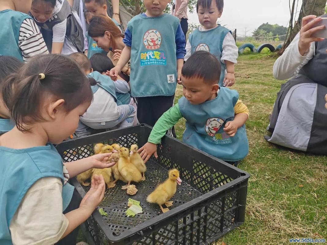 抓鸭子游戏怎么玩_抓鸭子游戏趣味玩法全解析