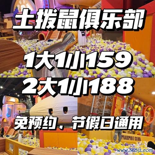 找宝藏游戏最全攻略解说_找宝藏游戏最新技巧通关