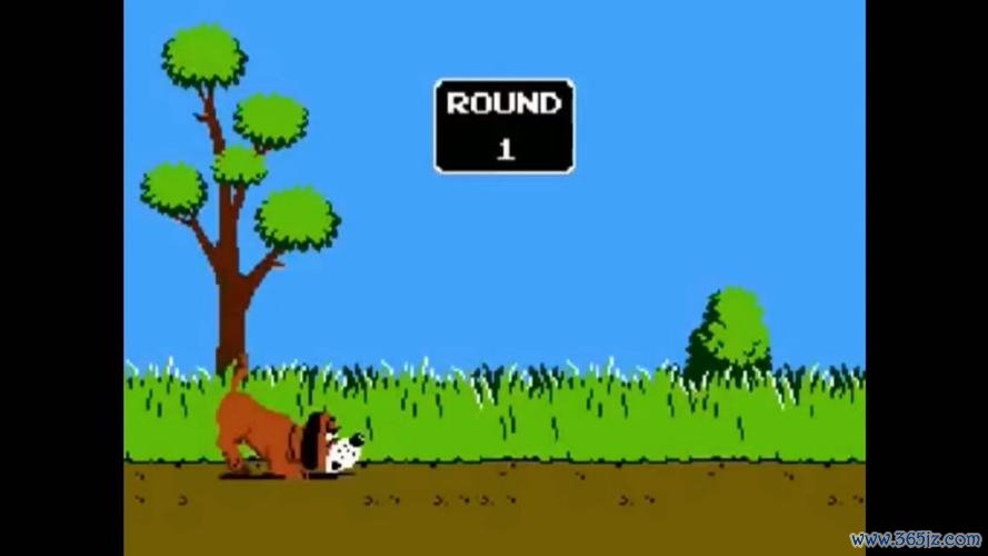 打鸭子最全游戏攻略解说_打鸭子最新游戏技巧通关