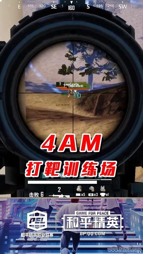 打靶训练最全游戏攻略解说_打靶训练最新游戏技巧通关