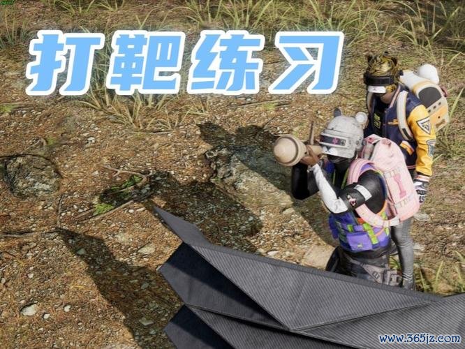 打靶训练最全游戏攻略解说_打靶训练最新游戏技巧通关