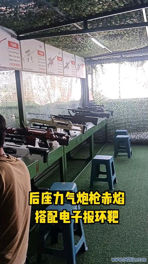 打靶射击最全游戏攻略解说_打靶射击最新游戏技巧通关
