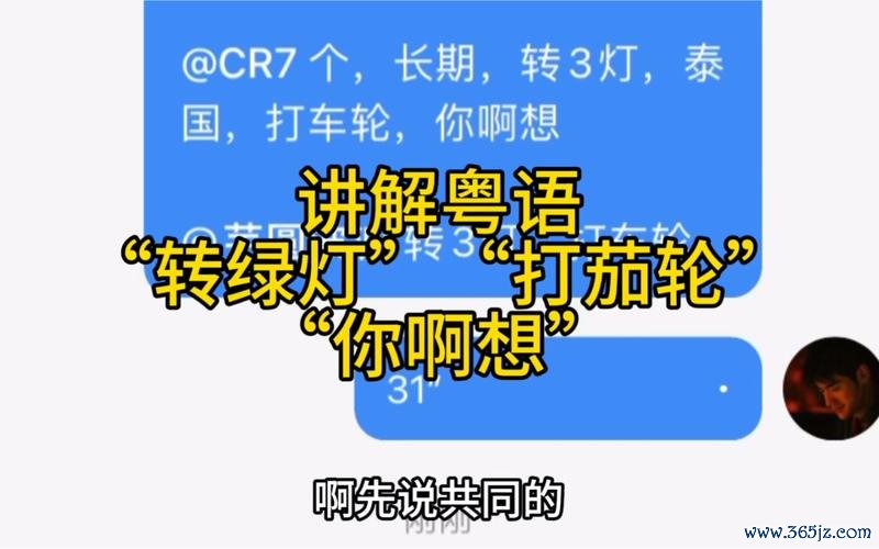 打茄轮最全游戏攻略解说_打茄轮最新游戏技巧通关