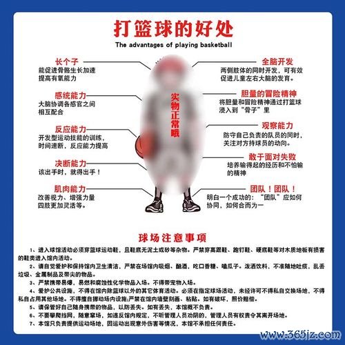 打篮球游戏最全攻略解说_打篮球游戏最新技巧通关