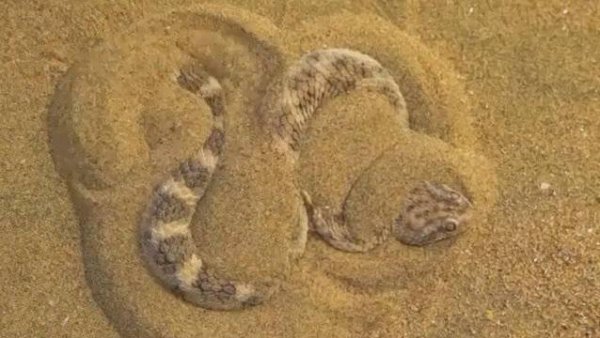 打埋伏最全游戏攻略解说_打埋伏最新游戏技巧通关