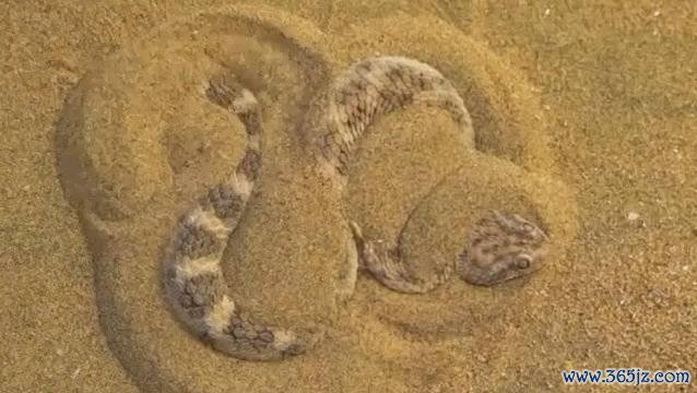 打埋伏最全游戏攻略解说_打埋伏最新游戏技巧通关