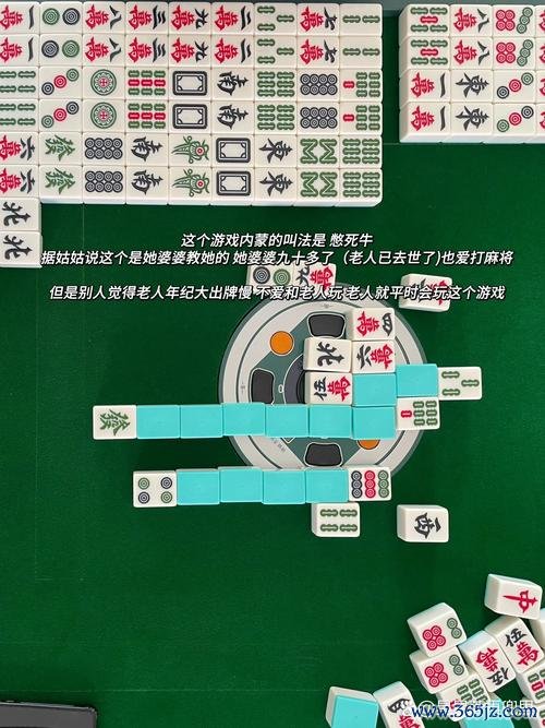 扑克牌麻将最全游戏攻略解说_扑克牌麻将最新游戏技巧通关