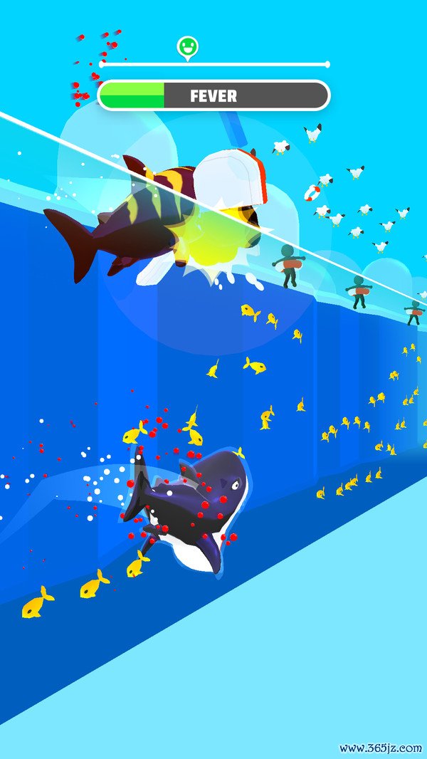 饥饿鲨鱼手机版下载_饥饿鲨鱼安卓版下载