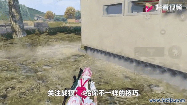 战狼犬最全游戏攻略解说_战狼犬最新游戏技巧通关