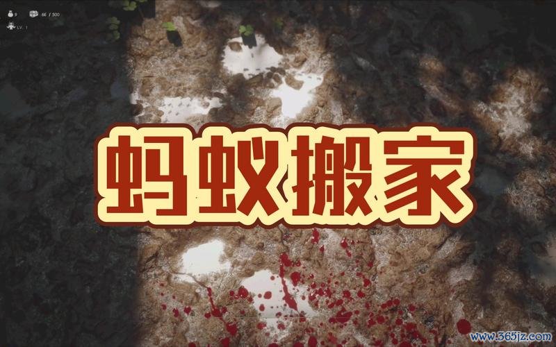 我要搬家游戏攻略全解析_我要搬家最新通关技巧分享