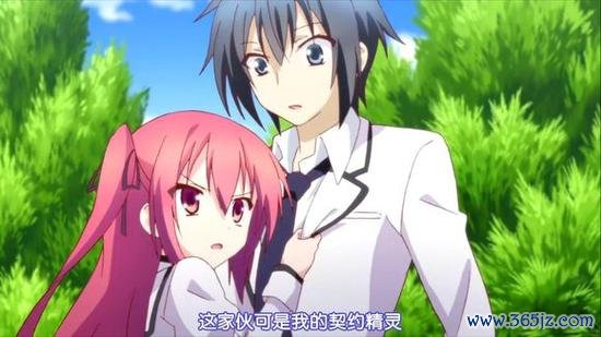 我的精灵全流程攻略_我的精灵新手入门到高手进阶