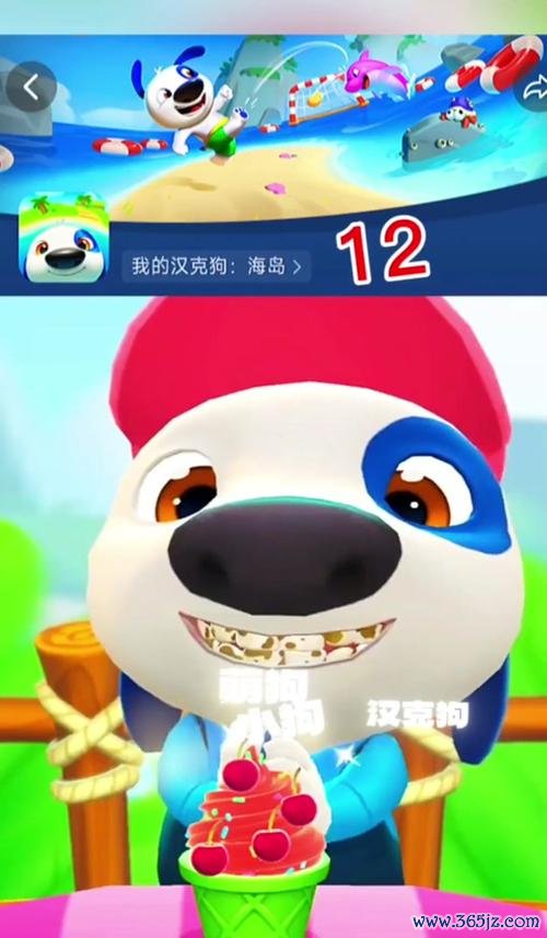 我的汉克狗最全游戏攻略解说_我的汉克狗最新游戏技巧通关